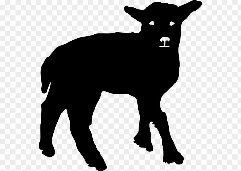 Lamb Welsh Mountain Sheep Silhouette And Mutton Clip Art PNG