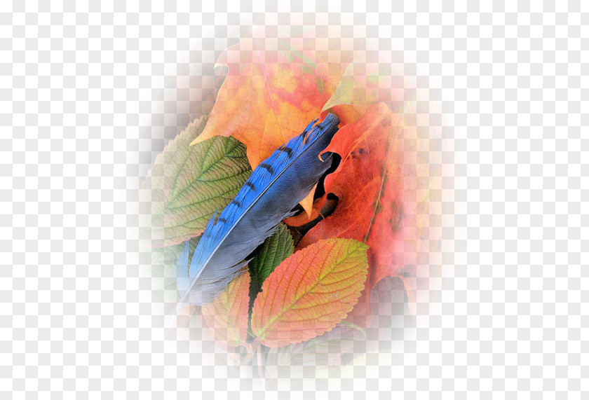 Leaf Tree Clip Art PNG