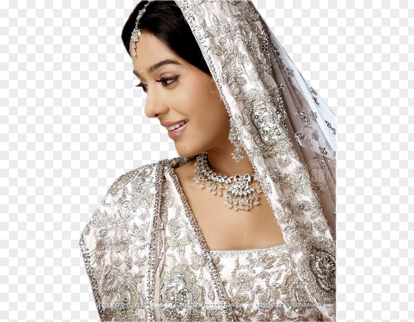 Actor Amrita Rao Vivah PNG