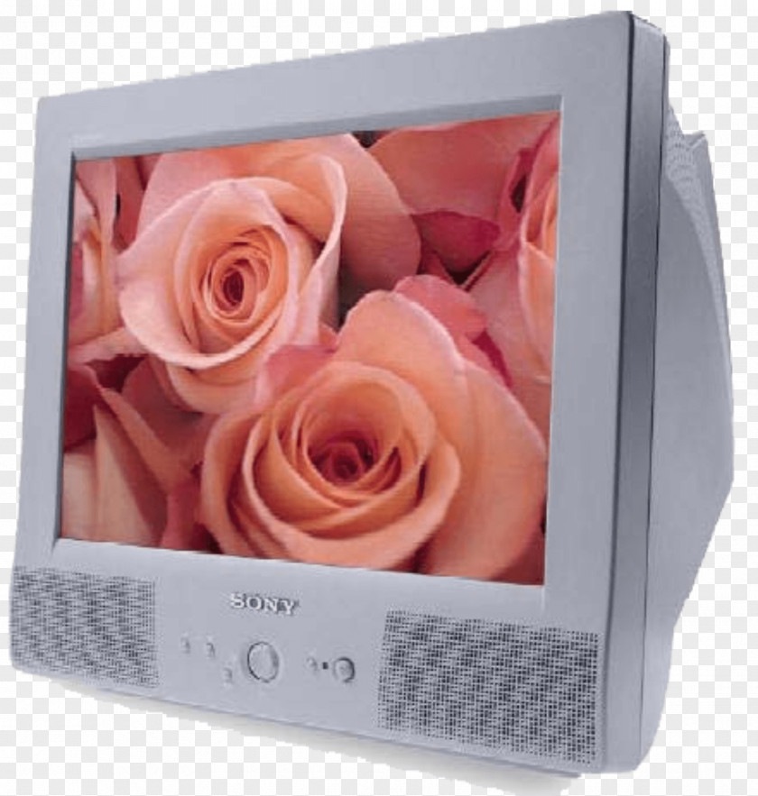 Big Apple Computers Properties Garden Roses PNG