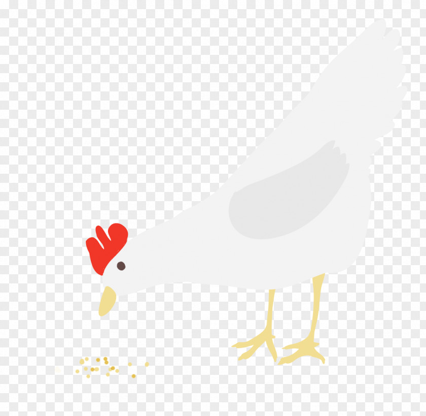 Chicken Rooster Duck Clip Art PNG