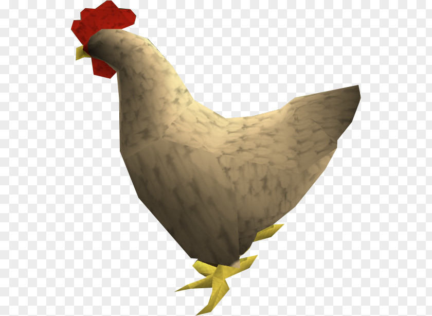 Chicken RuneScape Phasianidae Rooster Poultry PNG