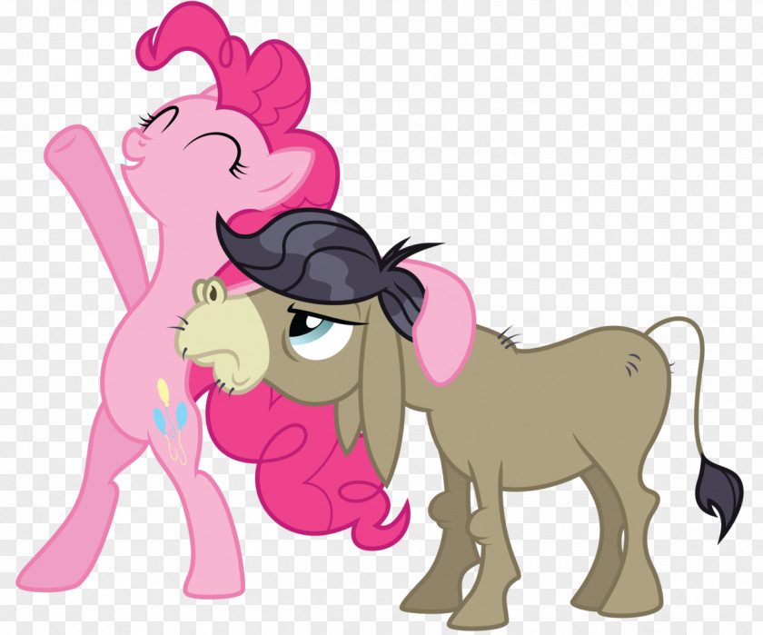 Donkey Rainbow Dash Pinkie Pie Horse Pony Fluttershy PNG