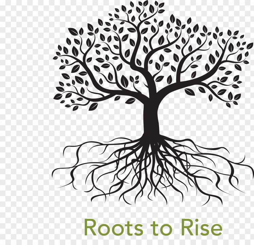 Family Tree Root Royalty-free Drawing PNG