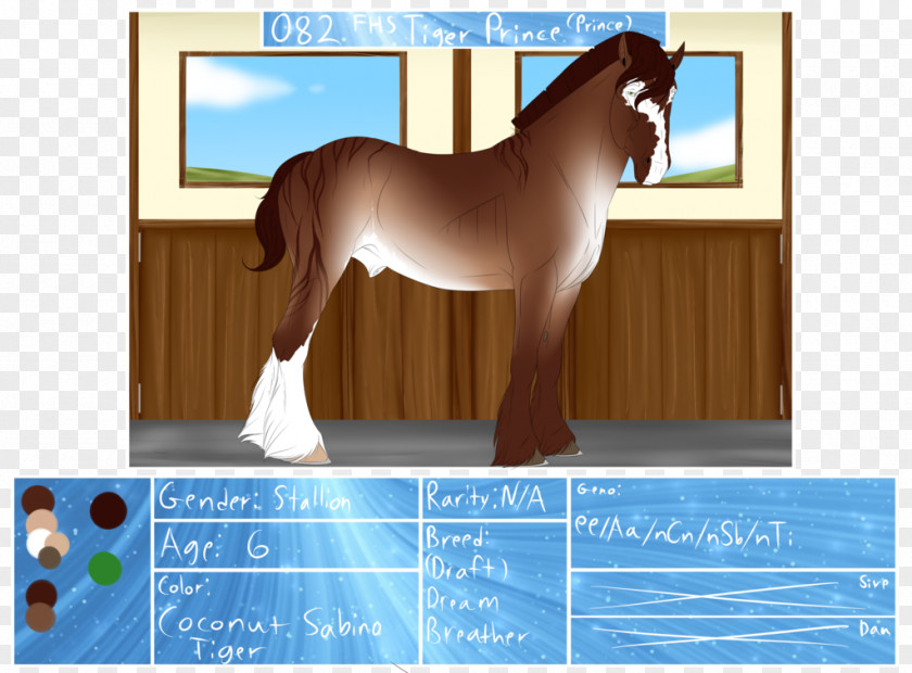 Mustang Mane Foal Stallion Mare PNG