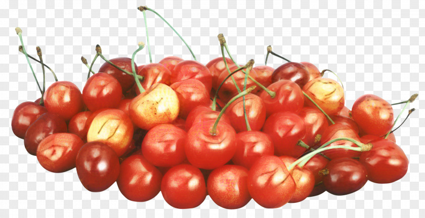 Nightshade Family Cherry Tomatoes Blossom Cartoon PNG