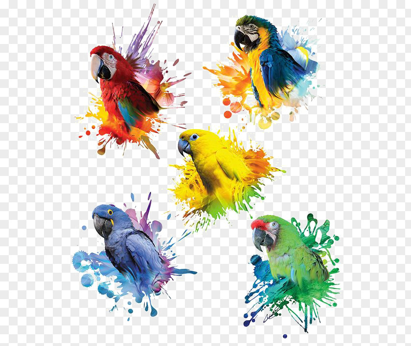Parrot Decoration Blue-and-yellow Macaw Red-and-green Great Green PNG