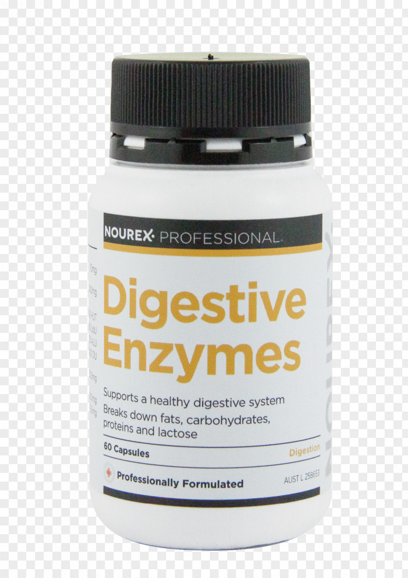 Digestive Enzyme Digestion Liver Dietary Supplement PNG