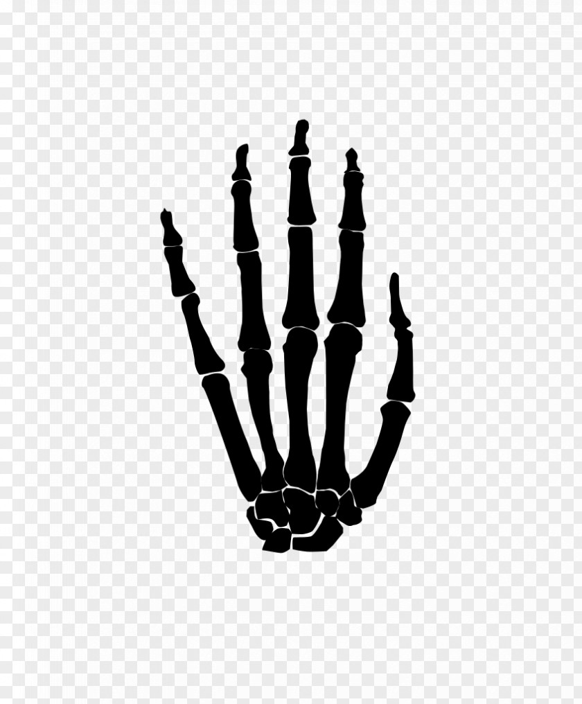 Finger Wikimedia Commons Hand Foot PNG