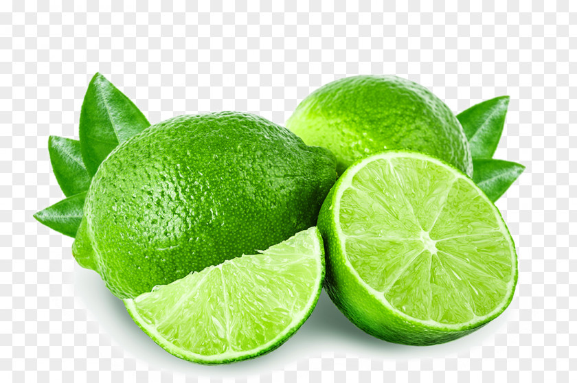 Fresh Fruit Lemon Juicer Squeezer Lime PNG
