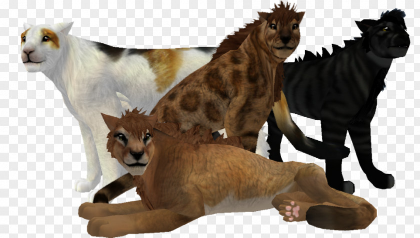 Irregular Background Shading Cat Mammal Terrestrial Animal Carnivora PNG