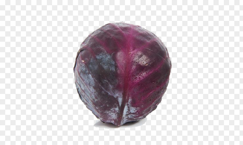 Organic Purple Cabbage Red Vegetable PNG