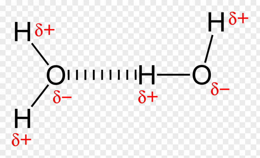 Bounding Hydrogen Bond Chemical Intermolecular Force Covalent Molecule PNG