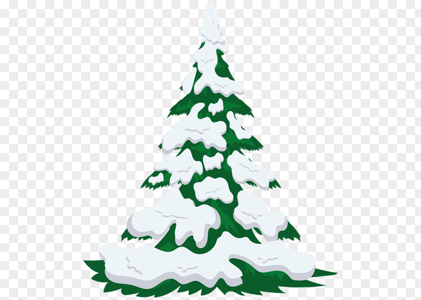 Christmas Tree Fir Snow Clip Art PNG