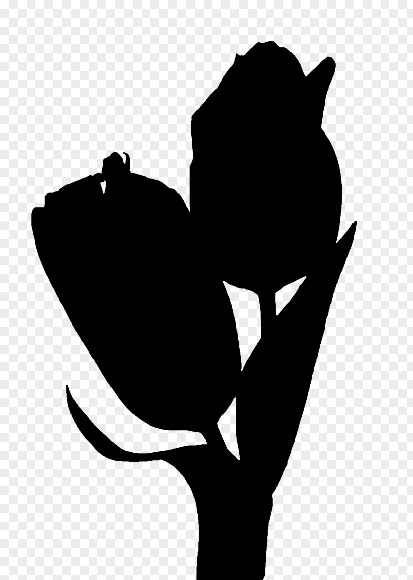 Clip Art Flowering Plant Silhouette Leaf PNG