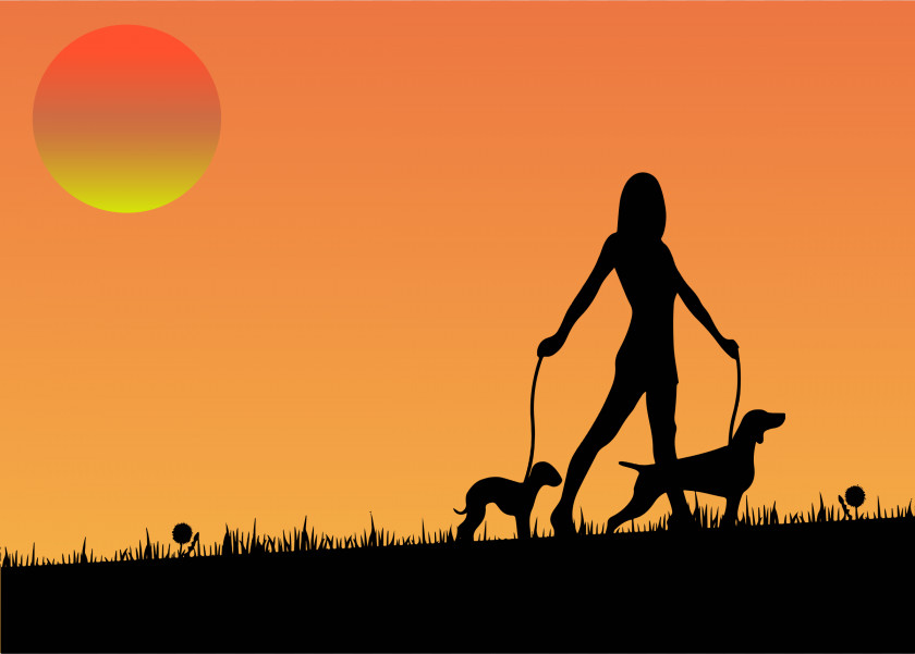 Dog Sunset Cliparts Walking Pet Sitting Woman PNG