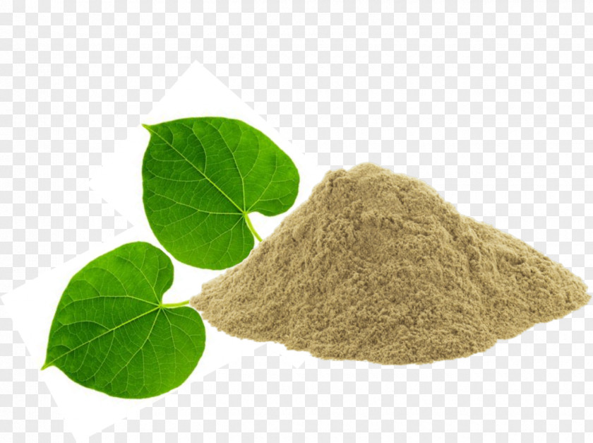 Giloy Heart-leaved Moonseed Herb Powder Ayurveda Extract PNG