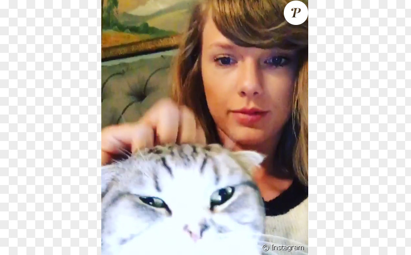 Taylor Swift Whiskers Cat Kitten Eyelash PNG