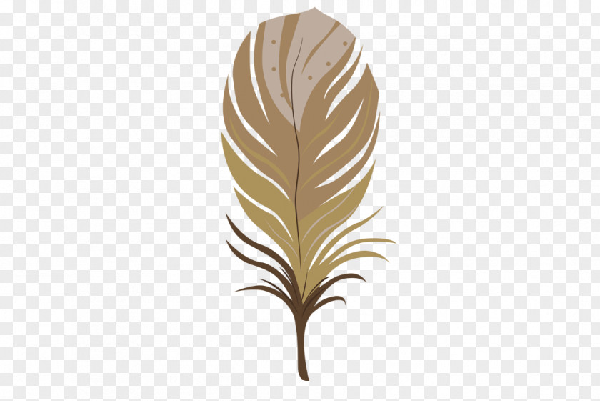 Brown Feathers Feather Color PNG