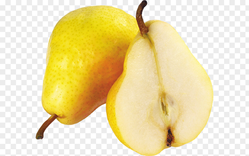 Pear Fruit Clip Art PNG