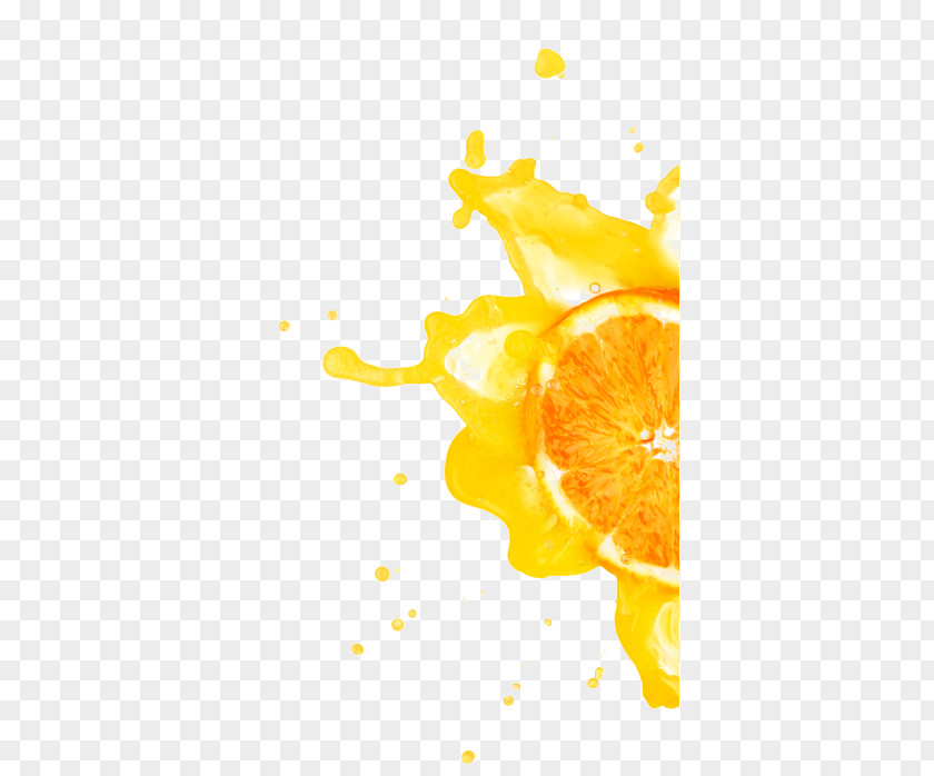 Splash Orange Juice Vegetarian Cuisine Lemon Peel Still Life Photography PNG