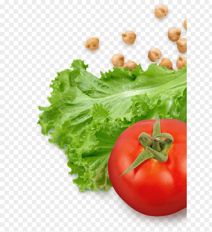 Tomato Vegetarian Cuisine Lettuce Food Salad PNG
