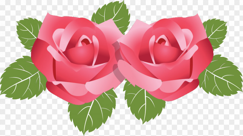 Two Flowers Roses Valentines Day PNG