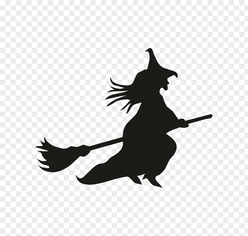 Witch On Broom Art Witchcraft Vector Graphics Royalty-free Illustration PNG