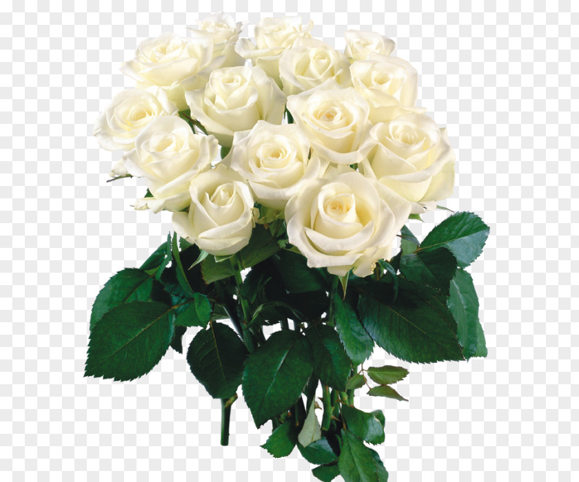 Birthday Букет з білих троянд Flower Bouquet Holiday Garden Roses PNG