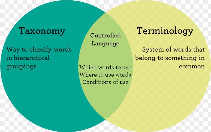 Blog Controlled Vocabulary Dictionary Taxonomy Word PNG