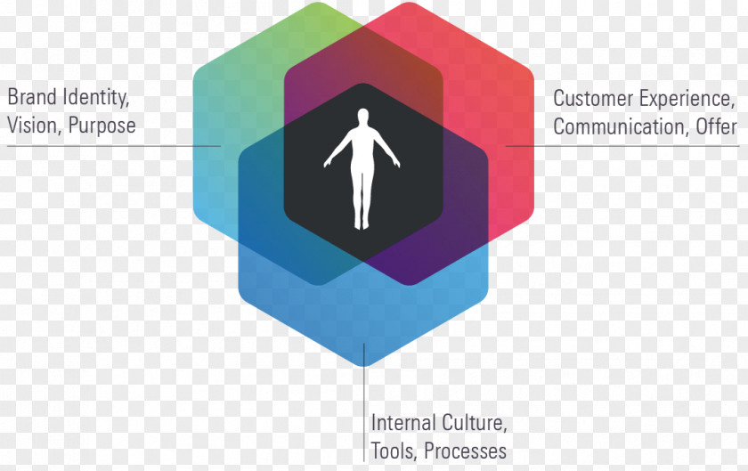 Business Logo Human-centered Design Brand User-centered PNG