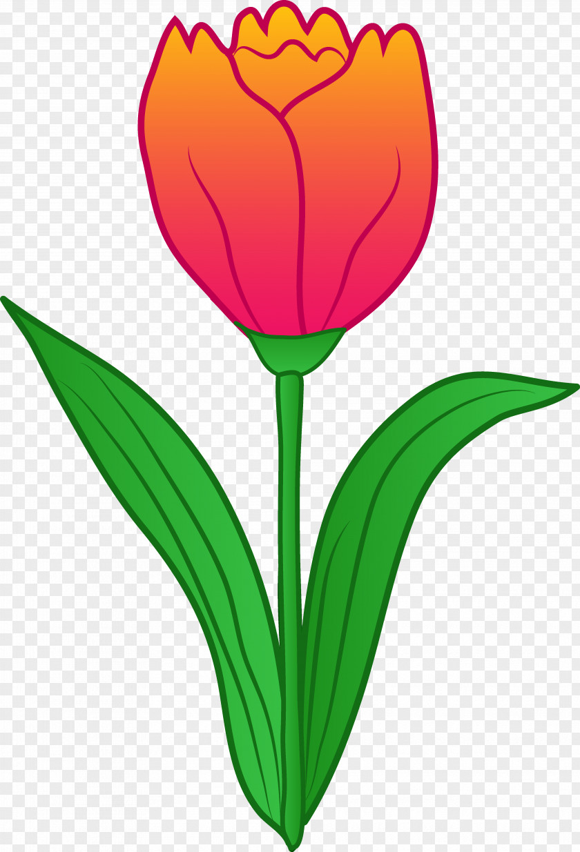Cartoon Flower Cliparts Tulip Free Content Clip Art PNG