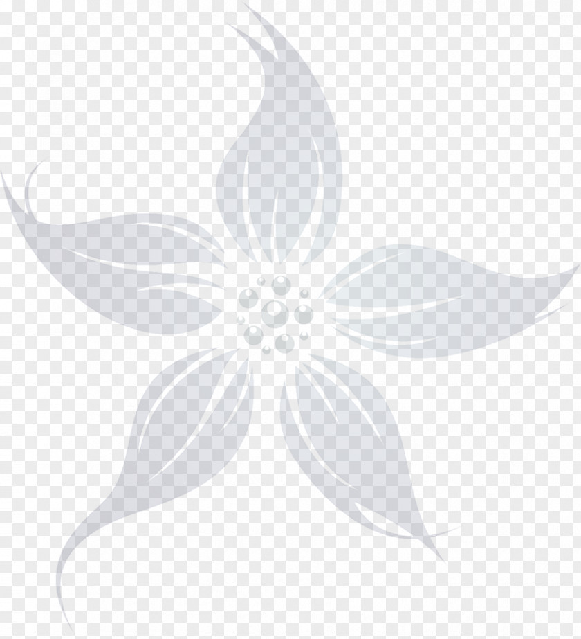 Line Petal White Symmetry Leaf PNG