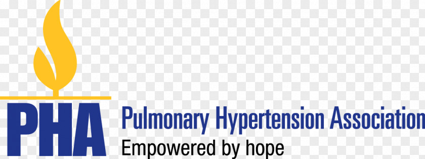 Pulmonary Hypertension Association Lung Chronic Obstructive Disease Artery PNG