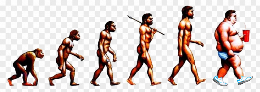 Socially Present Neandertal Human Evolution Homo Sapiens Transitional Fossil PNG