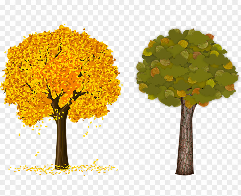 Autumn Trees Material Tree Trunk Clip Art PNG