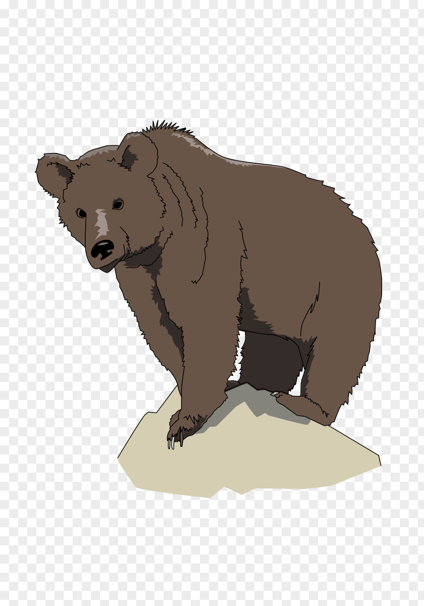 Bear Brown Bear, What Do You See? American Black Polar Grizzly PNG