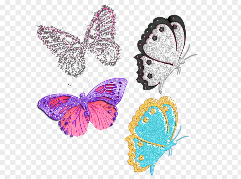 Buterfly Butterfly Standard Test Image Insect PNG