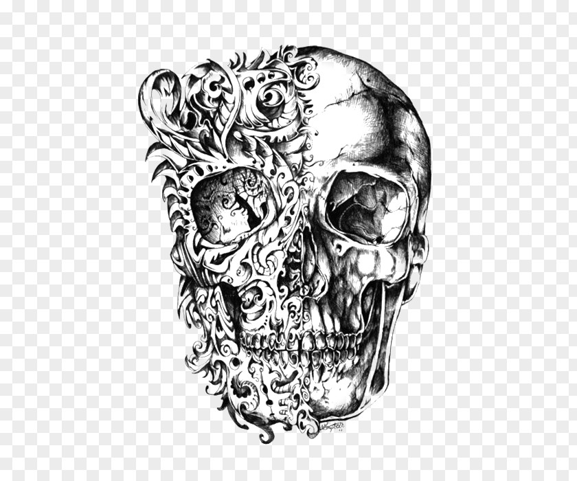 Creative Skeleton Calavera Skull Drawing Tattoo PNG