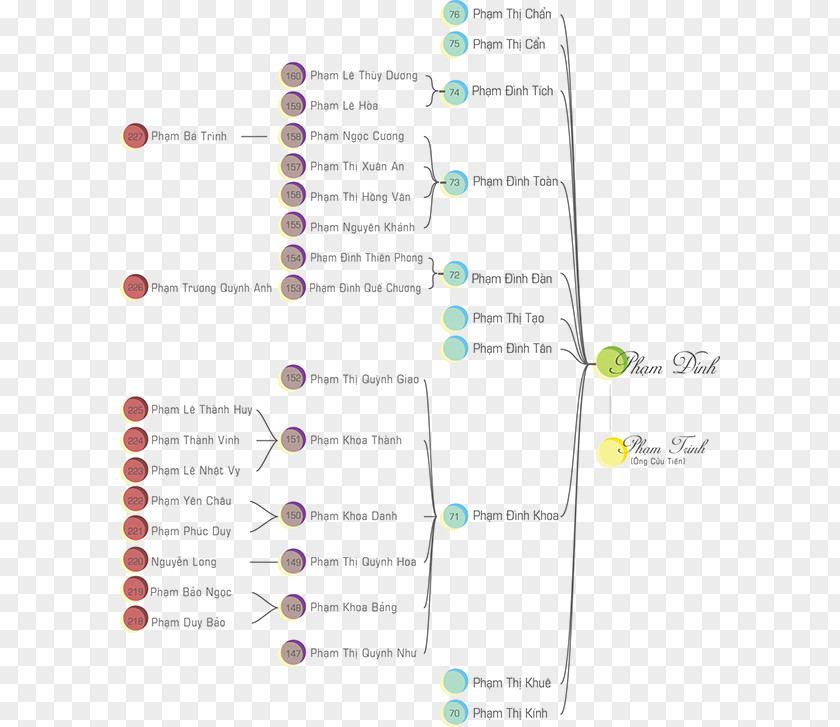 Family Tree Project Brand Product Design Font Line PNG