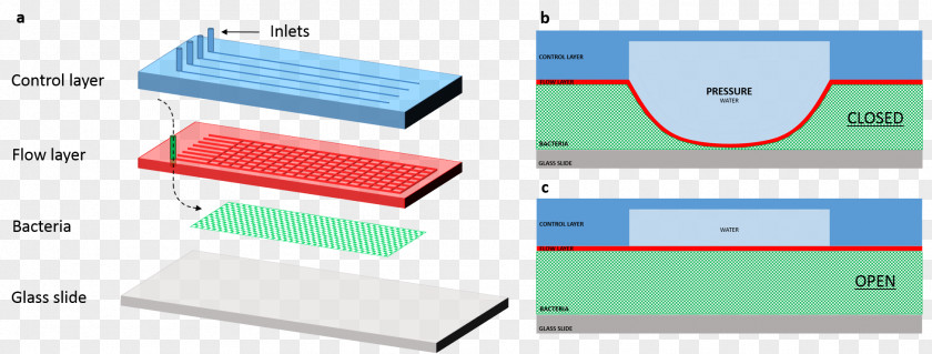 Flow Luminescence Microfluidics Valve Lab-on-a-chip Pump Paper PNG