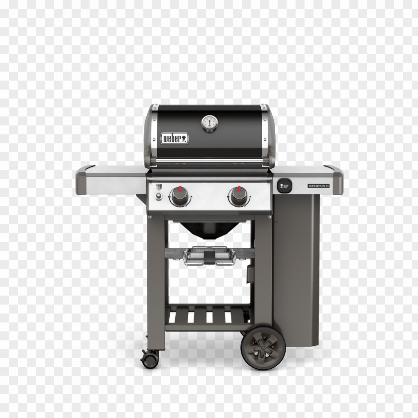 Grill Barbecue Weber-Stephen Products Natural Gas Propane Liquefied Petroleum PNG