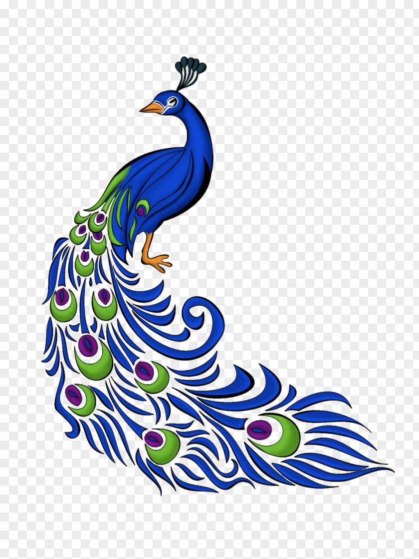 Peacock Asiatic Peafowl Drawing Clip Art PNG
