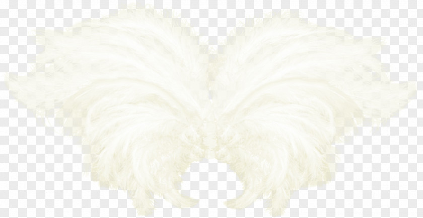 Pretty Wings Angle PNG