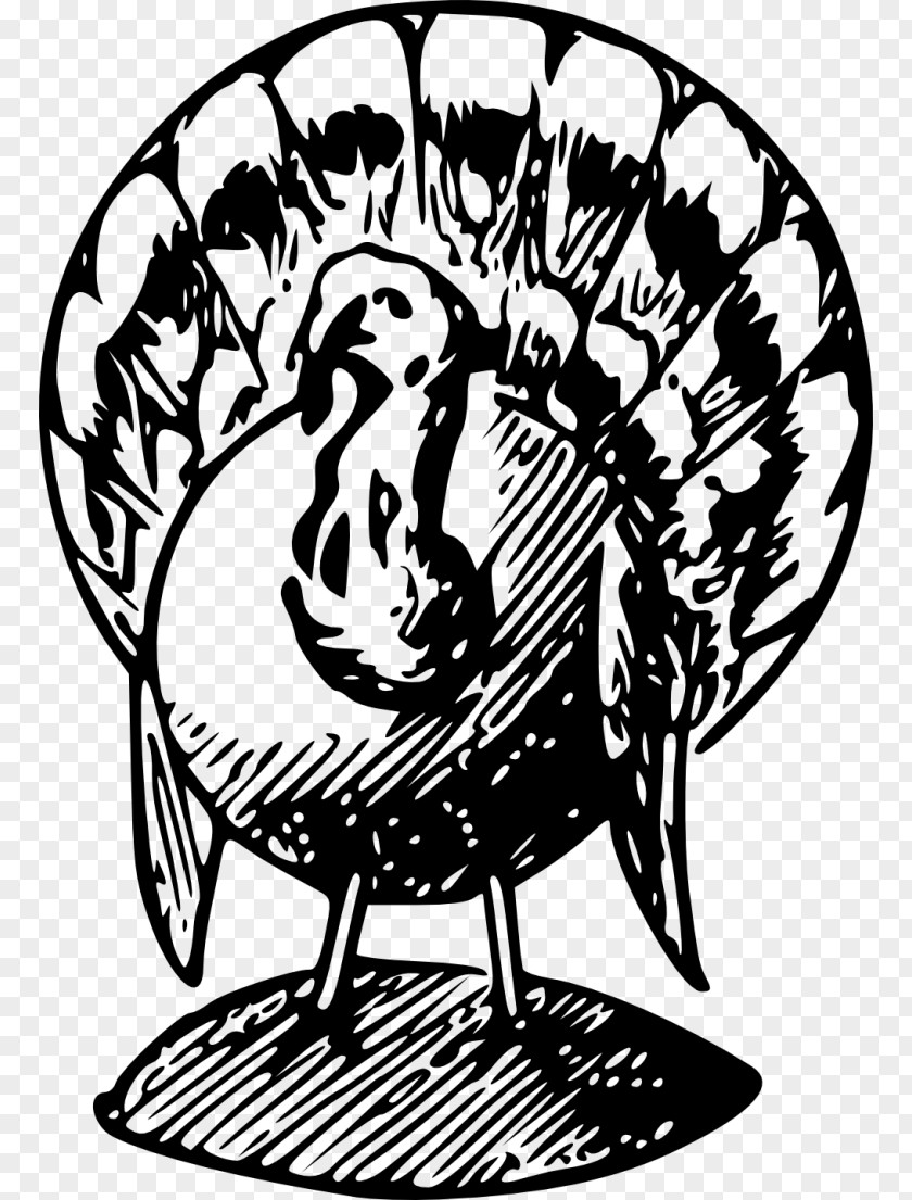 Turkey Thanksgiving Dinner Meat Clip Art PNG