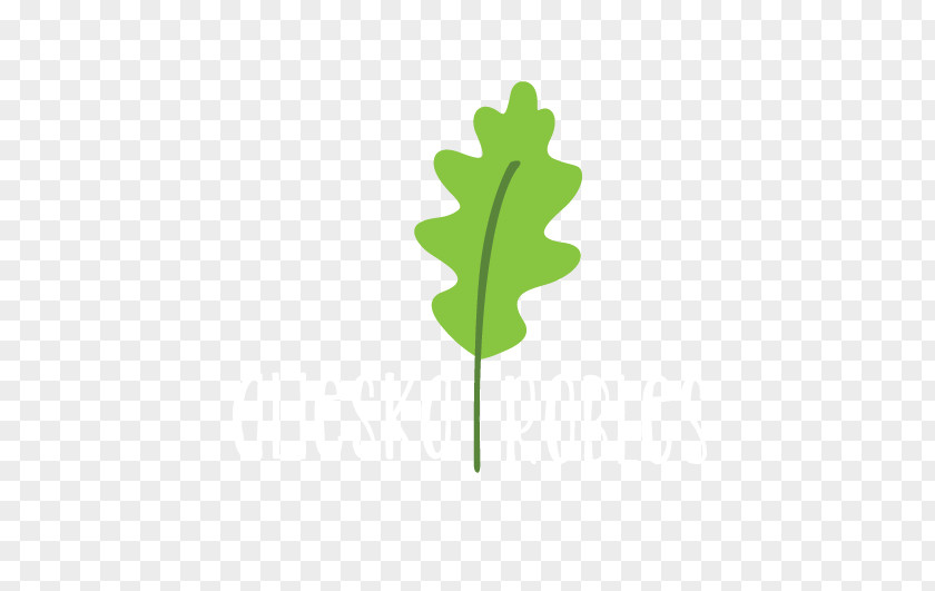 Ali Logo Tree Swamp Spanish Oak Leaf Literary Cookbook PNG