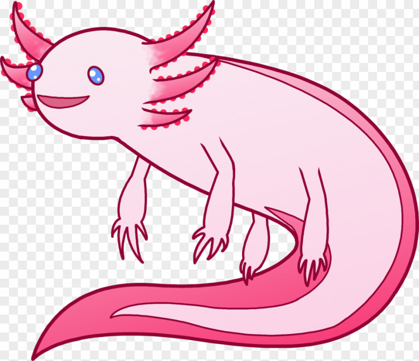Axolotl Drawing DeviantArt PNG