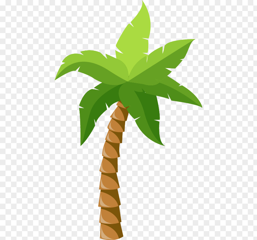 Great Cartoon Fresh Coconut Arecaceae Tree Tropics PNG
