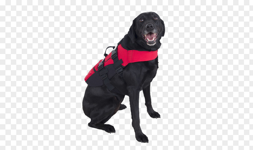 Life Preserver Props NRS CFD Dog Jacket Jackets Zephyr Inflatable PFD Chinook Fishing PNG