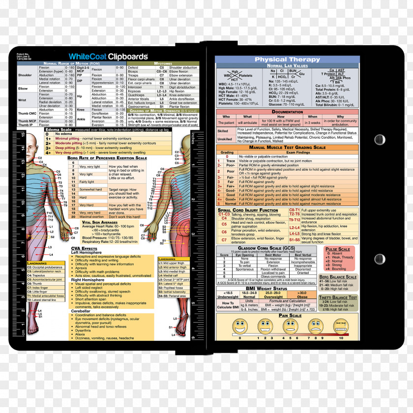 Specialty Physical Therapy Clipboard Medicine Occupational PNG